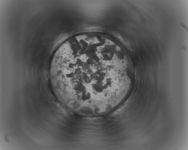 X0000091341405200708311447