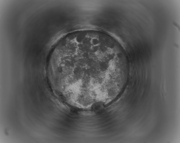 X0000091341407200708311447