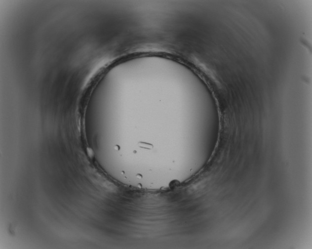 X0000091341408200708311447