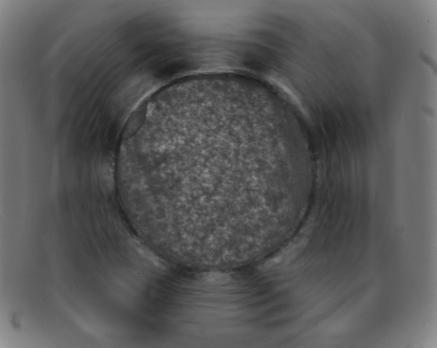 X0000091341409200708311447