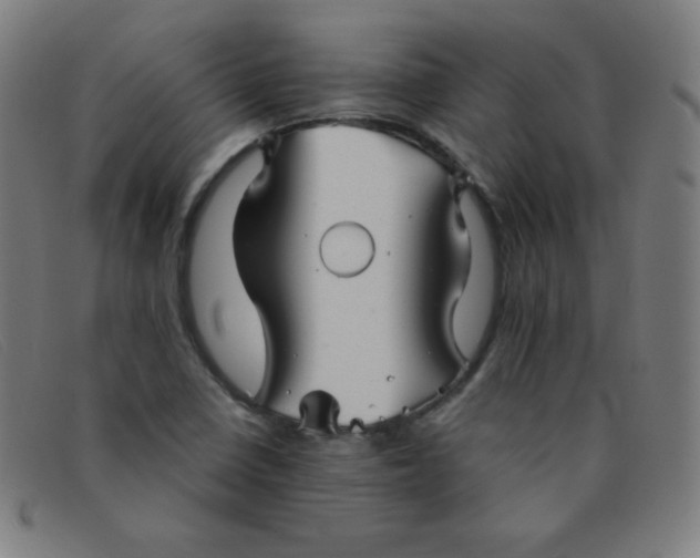 X0000091341410200708311447