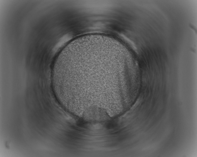 X0000091341411200708311447