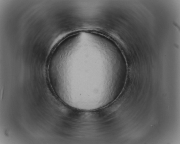 X0000091341412200708311447