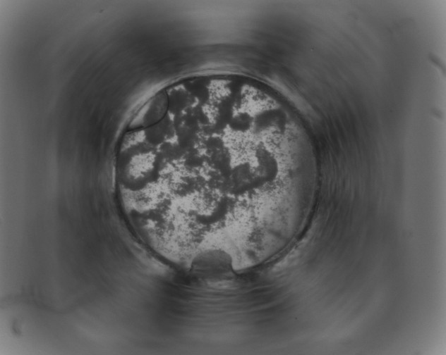 X0000091341413200708311447