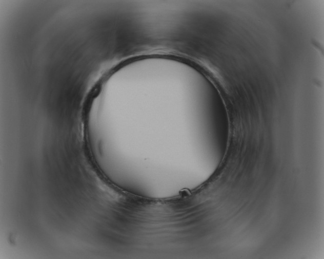 X0000091341414200708311447