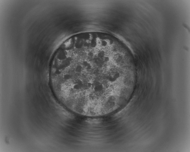 X0000091341415200708311447