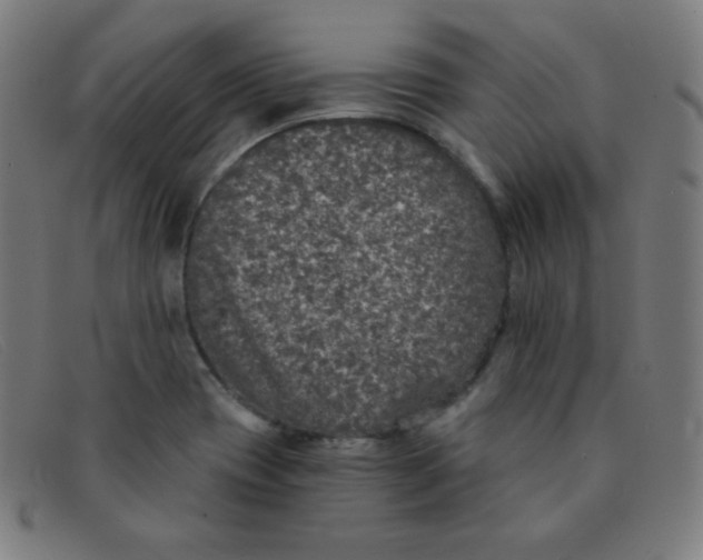 X0000091341417200708311447