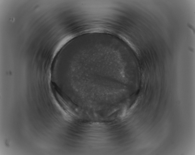 X0000091341418200708311447