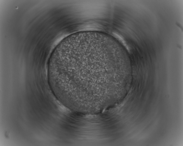 X0000091341419200708311447