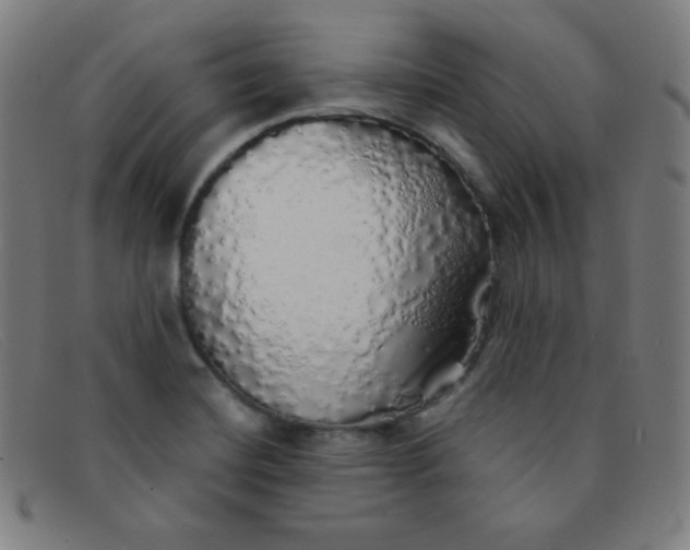 X0000091341420200708311447