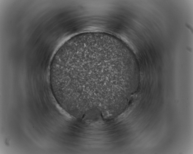 X0000091341421200708311447