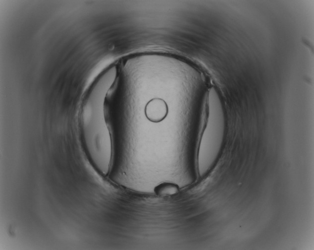 X0000091341422200708311447