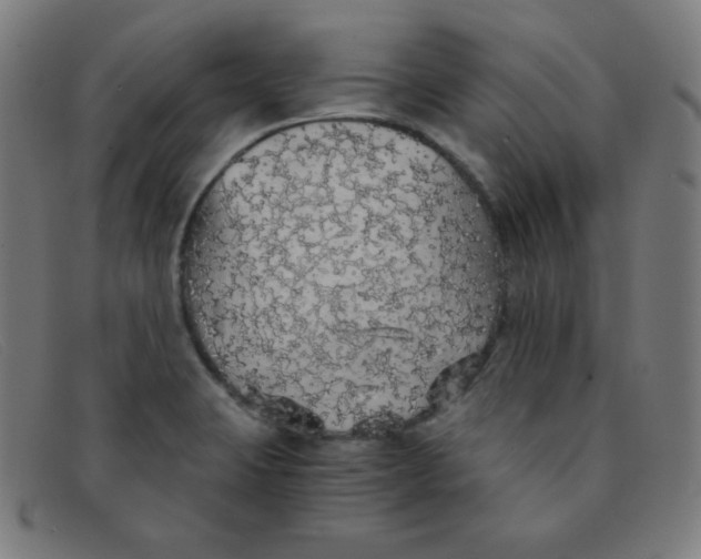 X0000091341423200708311447