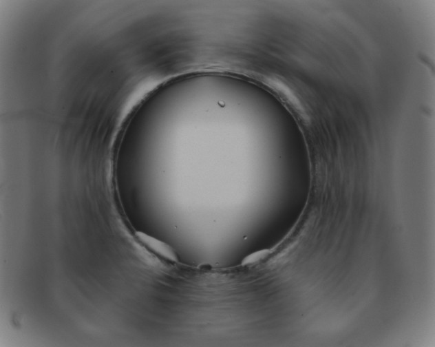 X0000091341424200708311447