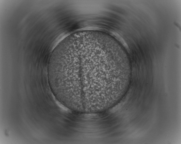 X0000091341425200708311447