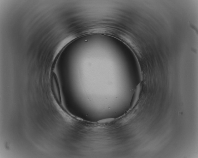 X0000091341426200708311447