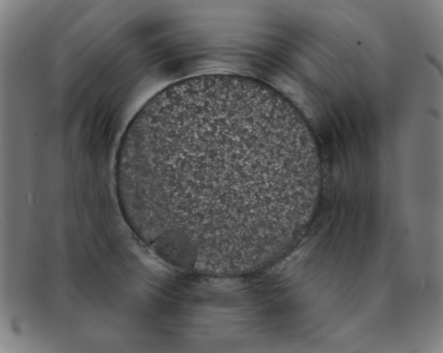 X0000091341427200708311447