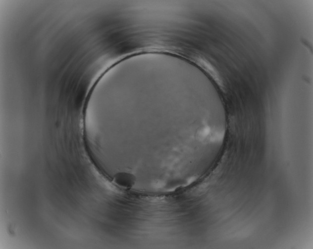 X0000091341428200708311447