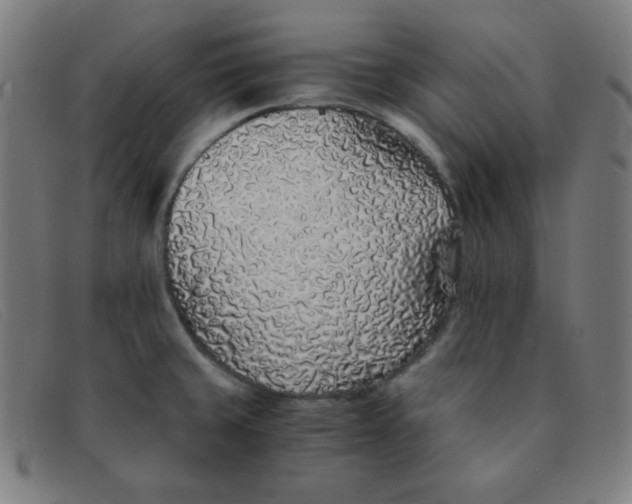 X0000091341429200708311447