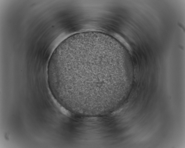 X0000091341431200708311447