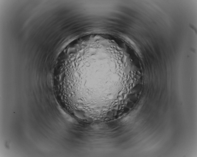 X0000091341433200708311447