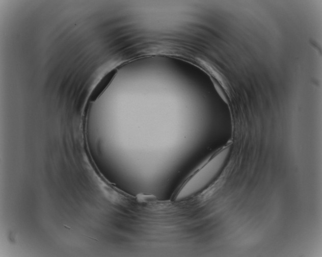 X0000091341434200708311447