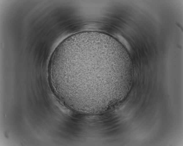 X0000091341435200708311447