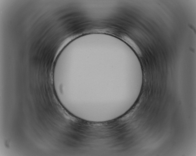 X0000091341436200708311447