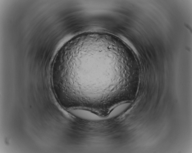 X0000091341437200708311447