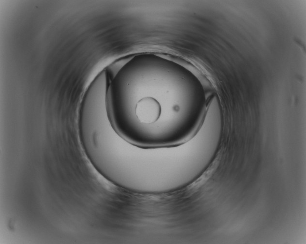 X0000091341438200708311447