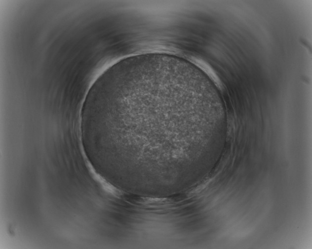 X0000091341439200708311447