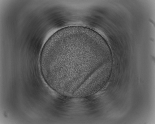 X0000091341440200708311447