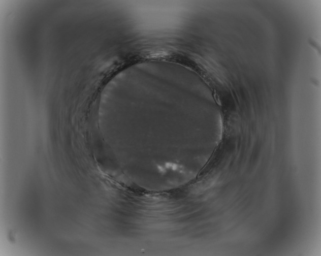 X0000091341441200708311447