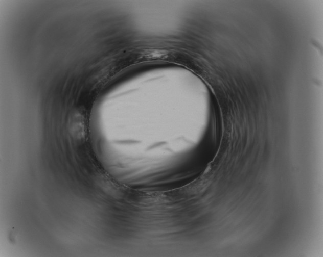 X0000091341442200708311447