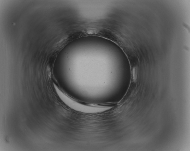 X0000091341443200708311447