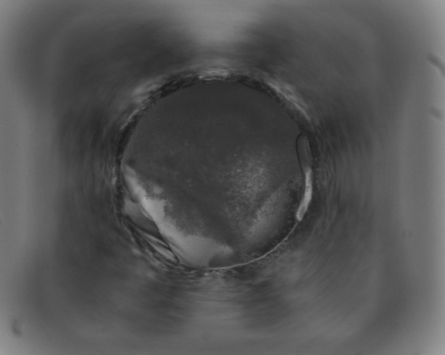 X0000091341445200708311447