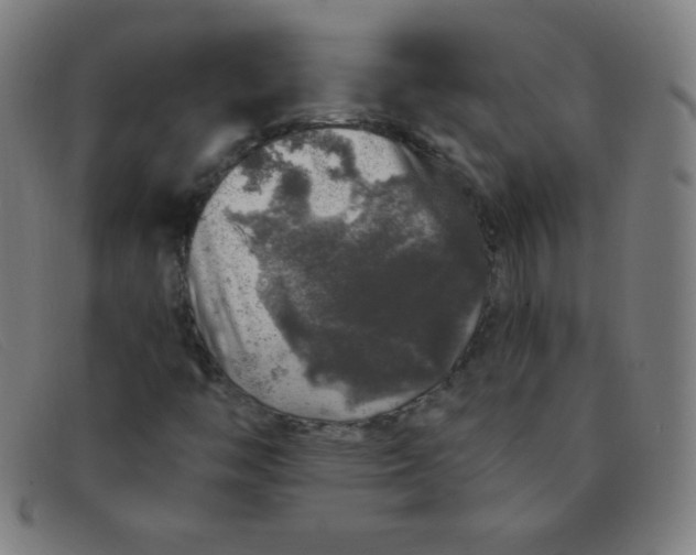 X0000091341446200708311447