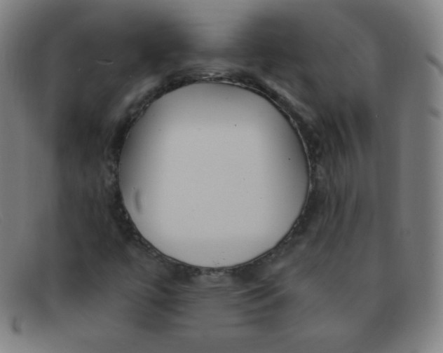 X0000091341447200708311447