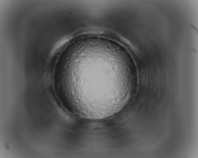 X0000091341448200708311447