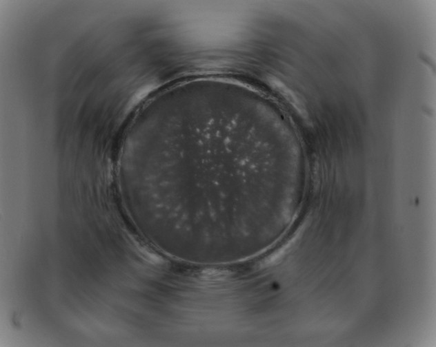 X0000091341449200708311447