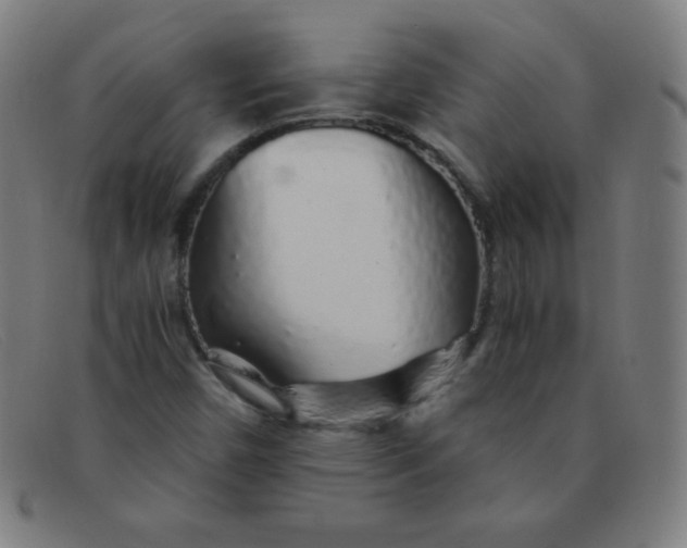 X0000091341450200708311447