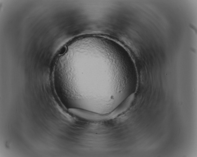 X0000091341452200708311447