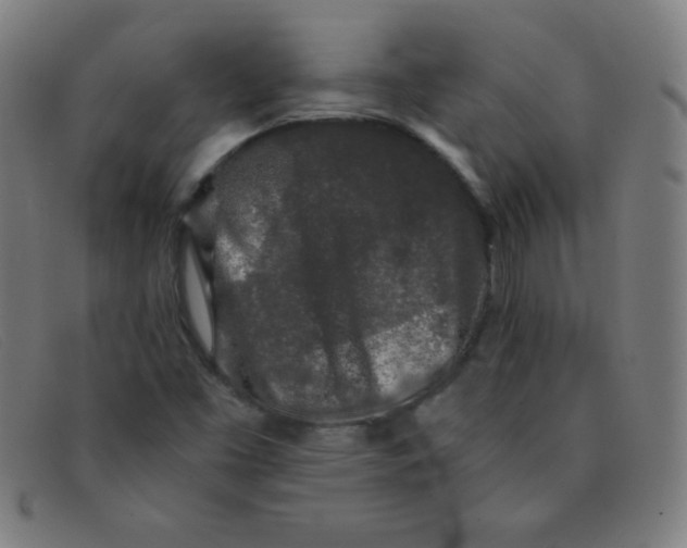 X0000091341453200708311447