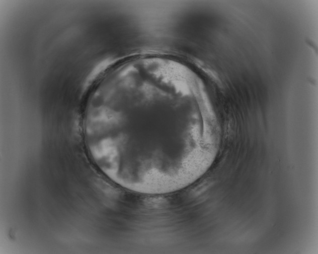 X0000091341454200708311447