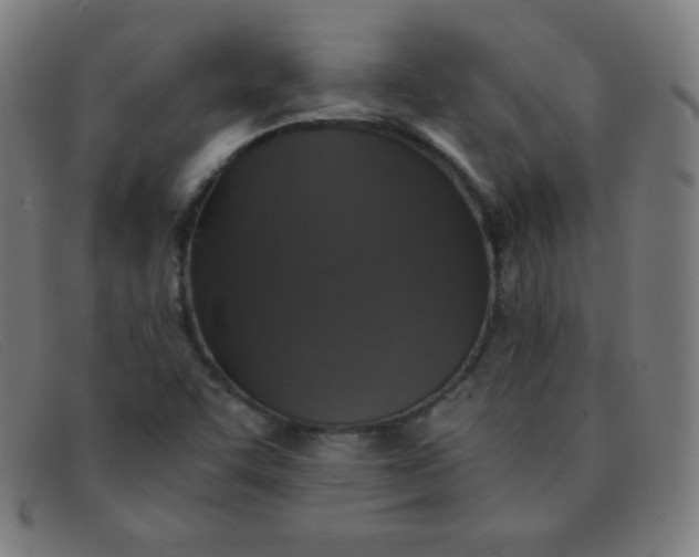 X0000091341455200708311447