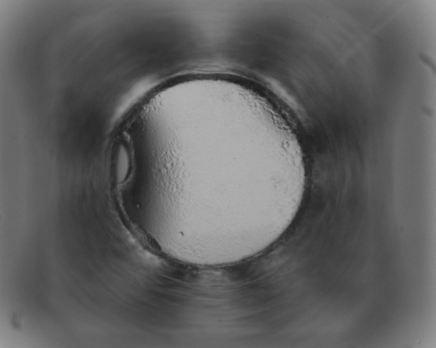 X0000091341456200708311447