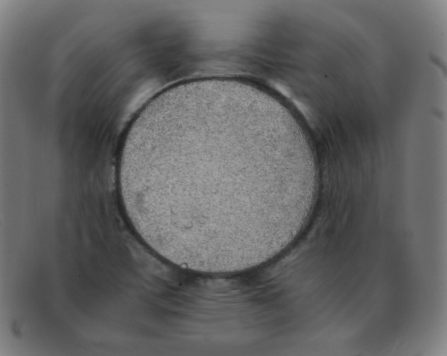 X0000091341459200708311447