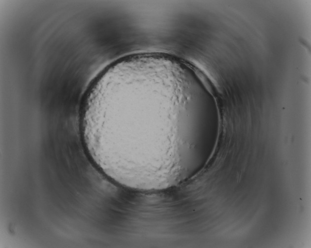 X0000091341460200708311447