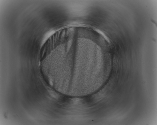 X0000091341461200708311447