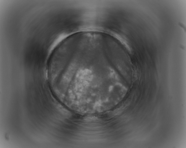 X0000091341462200708311447